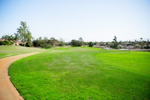 Golf course fairway with path