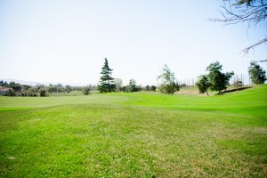 Twin Creeks golf course fairway