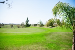 Green on golf course