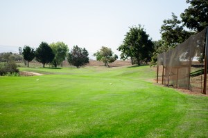 golf course green