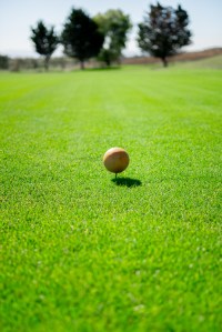 golf ball on tee