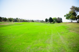 golf green
