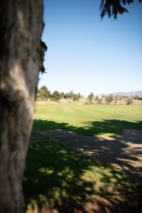 Tree shadowing on golf course 