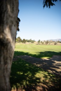 Tree shadowing on golf course