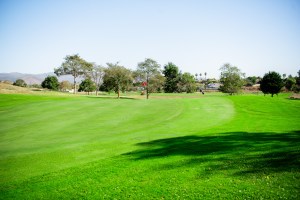 flag on golf course fairway