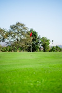 flag on golf course green