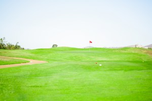 flag on golf course 