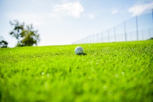 Golf ball on golf course 
