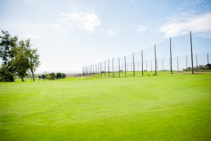 trees and golf course near range