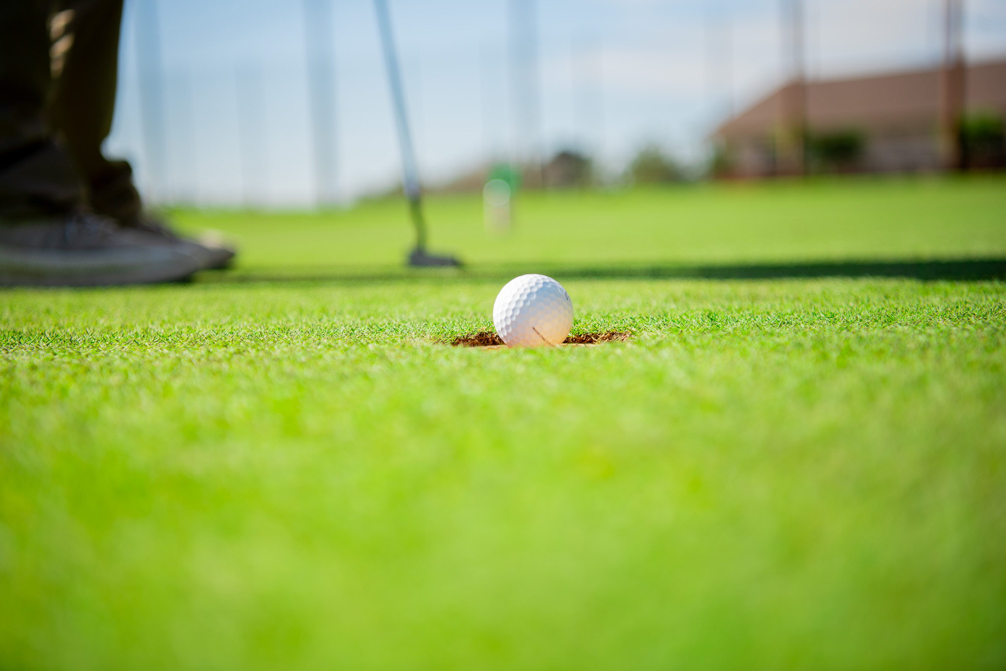 Image of golf ball on tee on grass.