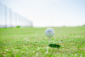 Golf Ball near range