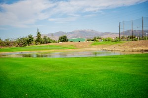 golf course green